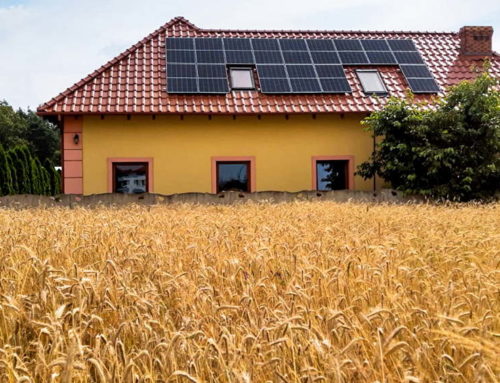 Agroenergia 2020